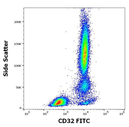 Anti-Hu CD32 FITC Mab (3D3)