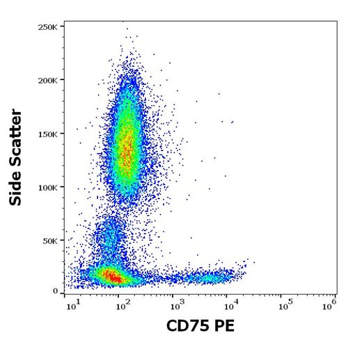 Anti-Hu CD75 PE Mab (LN1)