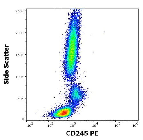 Anti-Hu CD245 PE Mab (DY12)