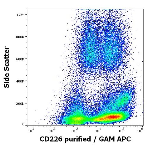 Anti-Human CD226 Monoclonal Antibody (Clone:11A8)