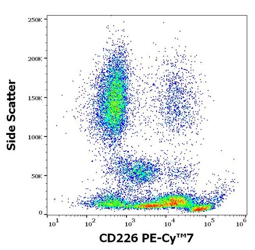 Anti-Human CD226 Monoclonal Antibody (Clone:11A8) PE-Cy7 Conjugated