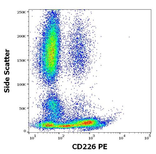 PE Conjugated Anti-Human CD226 Mab(Clone:11A8)