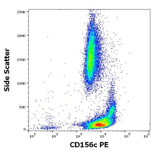 PE Conjugated Anti-Human CD156c Mab (Clone:11G2)