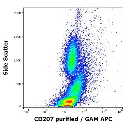 Anti-CD207 Monoclonal Antibody (Clone:2G3)