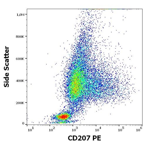 PE Anti-CD207 Monoclonal Antibody (Clone:2G3)