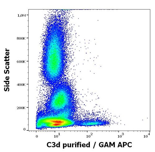 Anti-Human C3d Monoclonal Antibody (Clone: BGRL11)