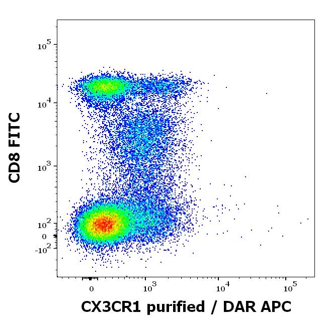 Anti-Human CX3CR1 Monoclonal Antibody (Clone:2A9-1)