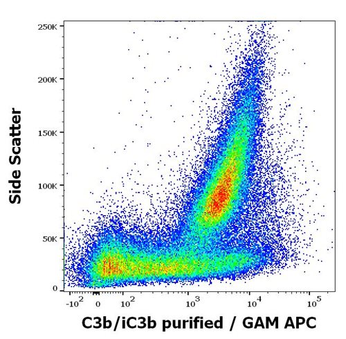 Anti-Human C3b/iC3b Purified Azide Free Monoclonal Antibody (Clone:  3E7)
