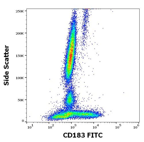 Anti-Human CD183 Monoclonal Antibody FITC Conjugated (Clone: rHIQB005)