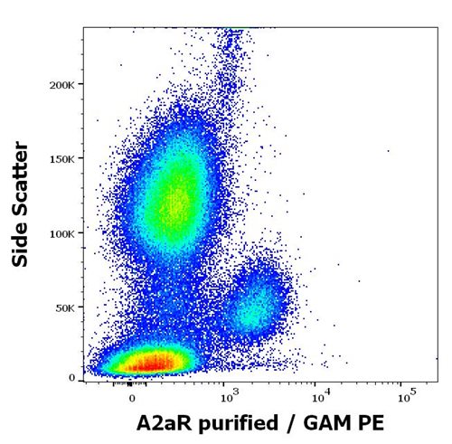 Anti-A2aR Monoclonal Antibody (Clone: 7F6-G5-A2)