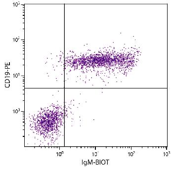 Goat Anti-Mouse IgM-Biotin Conjugated