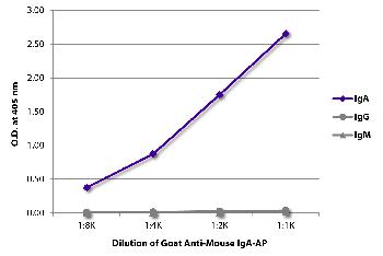 Goat Anti-Mouse IgA-AP