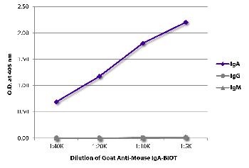 Goat Anti-Mouse IgA-Biotin Conjugated