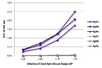 Goat Anti-Mouse Kappa-AP