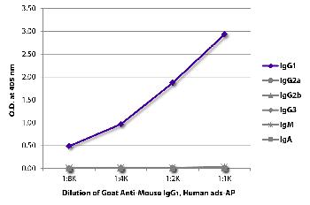 Goat Anti-Mouse IgG1, Human ads-AP