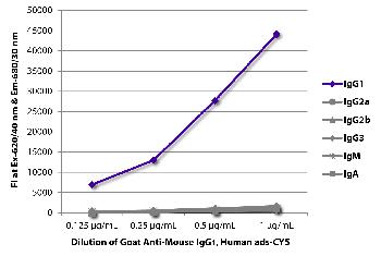 Goat Anti-Mouse IgG1, Human ads-CY5