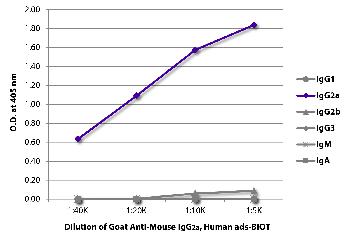 Goat Anti-Mouse IgG2a, Human ads-Biotin Conjugated