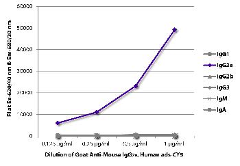 Goat Anti-Mouse IgG2a, Human ads-CY5