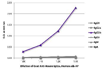 Goat Anti-Mouse IgG2b, Human ads-AP