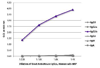 Goat Anti-Mouse IgG2b, Human ads-HRP Conjugated