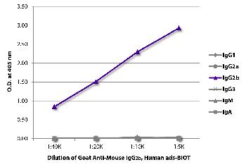 Goat Anti-Mouse IgG2b, Human ads-Biotin Conjugated