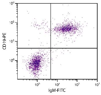 Rat Anti-Mouse IgM-FITC