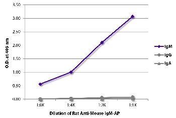 Rat Anti-Mouse IgM-AP