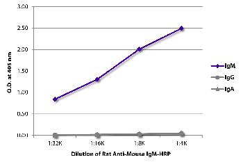 Rat Anti-Mouse IgM-HRP Conjugated