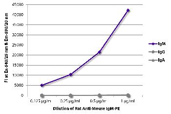 Rat Anti-Mouse IgM-PE