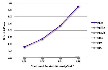 Rat Anti-Mouse IgG1-AP