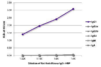 Rat Anti-Mouse IgG1-HRP Conjugated