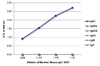 Rat Anti-Mouse IgG1-Biotin Conjugated