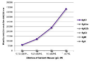 Rat Anti-Mouse IgG1-PE