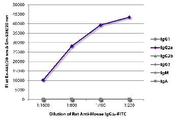 Rat Anti-Mouse IgG2a-FITC