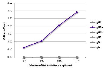 Rat Anti-Mouse IgG2a-AP