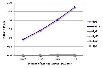 Rat Anti-Mouse IgG2a-HRP Conjugated