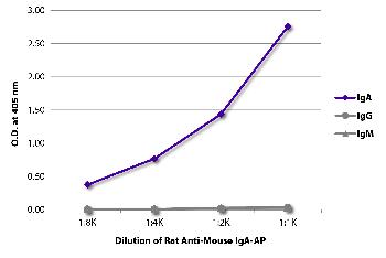 Rat Anti-Mouse IgA-AP