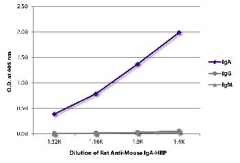 Rat Anti-Mouse IgA-HRP Conjugated