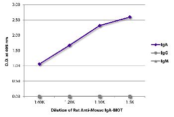 Rat Anti-Mouse IgA-Biotin Conjugated