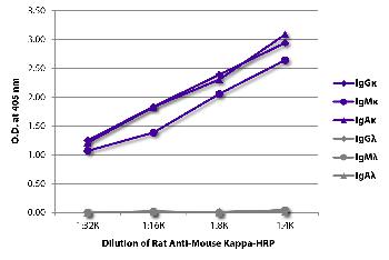 Rat Anti-Mouse Kappa-HRP Conjugated