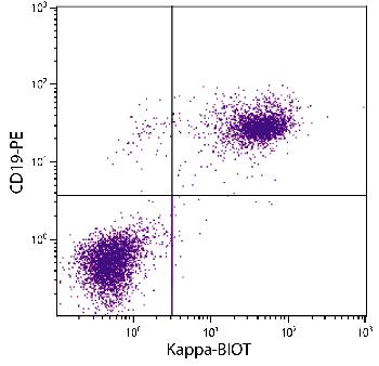 Rat Anti-Mouse Kappa-Biotin Conjugated