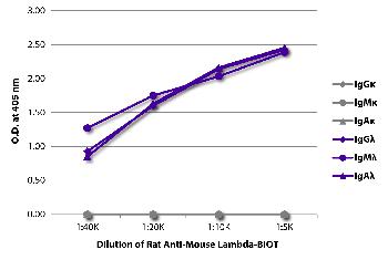 Rat Anti-Mouse Lambda-Biotin Conjugated