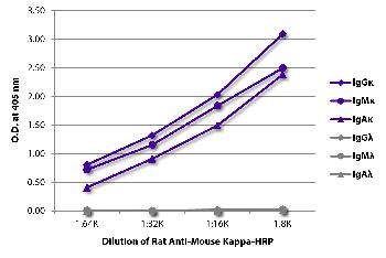 Rat Anti-Mouse Kappa-HRP Conjugated