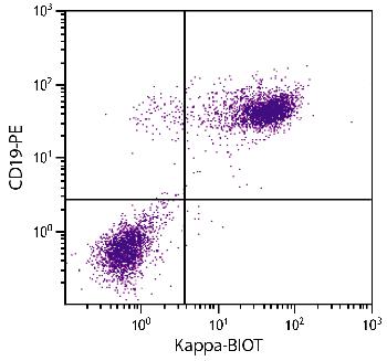 Rat Anti-Mouse Kappa-Biotin Conjugated