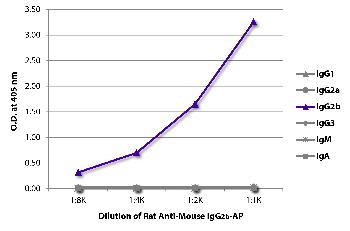 Rat Anti-Mouse IgG2b-AP