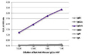 Rat Anti-Mouse IgG2b-HRP Conjugated