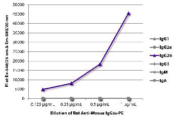 Rat Anti-Mouse IgG2b-PE