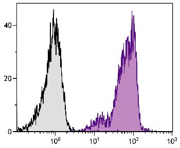 Rat Anti-Mouse CD44-R-PE/CY5