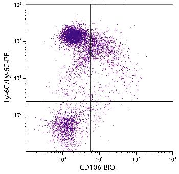 Rat Anti-Mouse CD106-Biotin Conjugated