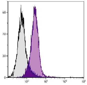 Rat Anti-Mouse CD2-Biotin Conjugated